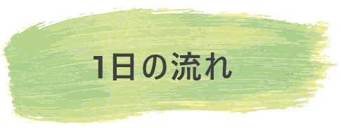 1日の流れ